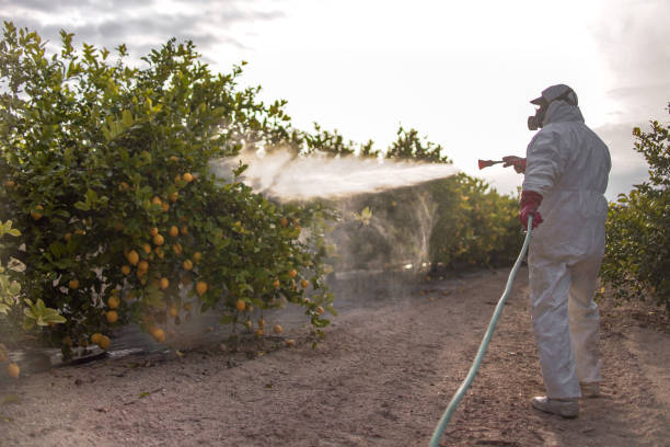 Best Termite Control Services  in Adel, IA